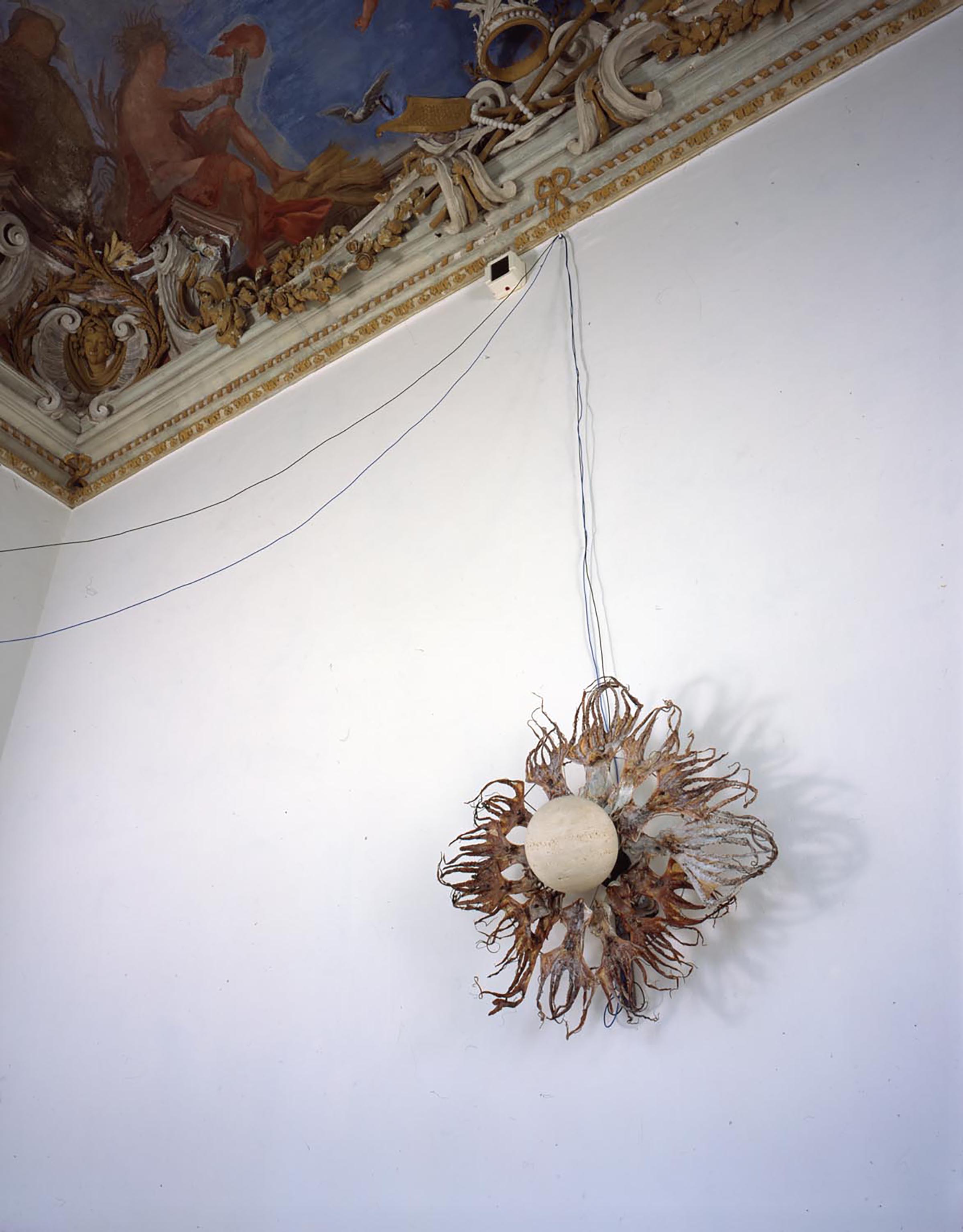 Bruna Esposito, Aureole, 1999 (detail)